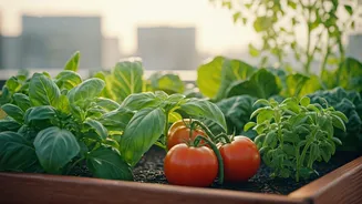 Karnataka Urban Agriculture Policies Offer Unprecedented Financial Aid Packages Now