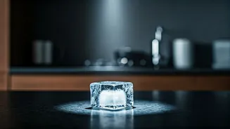 Viral H₂O Recipe Reel: From Freezer to Oven, Internet Stunned & Chef Reacts!