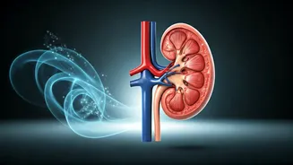 Health Insights: Expert Advice on Diet, Immunity, and Well-being