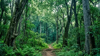 IRCTC launches Vandarshan wildlife tours