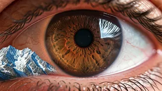 High-Altitude Vision Loss: A Trekker's Guide