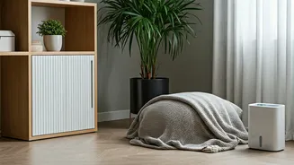 Monsoon home care: Function over decor