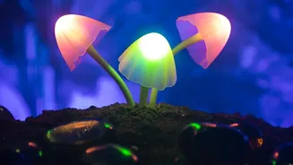 Bioluminescent City Infrastructure: GM Glowing Plants Aim To Slash Municipal Electricity Usage