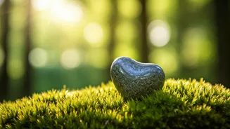 Navigating Mental Wellness: Strategies for a Balanced Life