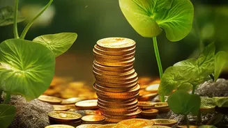 How To Balance Emergency Savings With Existing Financial Commitments