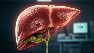 India's Growing Health Crisis: Understanding Obesity and Metabolic Disorders