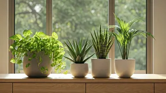 Why Your Home's Aesthetic Requires Fresh Native Greenery