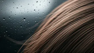 Rainy Days Could Mean More Hair On Your Comb