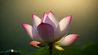 Unlock Inner Joy: Mata Amritanandamayi's Wisdom on True Happiness