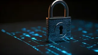 Lock Down Personal Instagram Grids Changing Maximum Security Scraping Safeguards