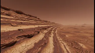Researchers Say Northern Mars Shelf Sits Below Ancient Sea-Level Markers
