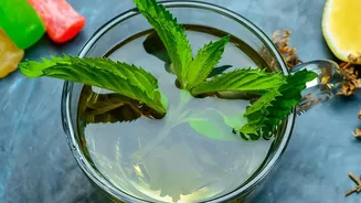 Refreshing Herbal Teas That Keep Your Body Cool And Hydrated In Warm Weather