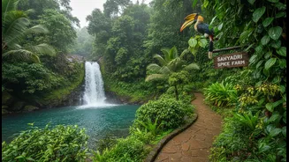 Monsoon Holidays in Goa Now Include Waterfalls, Wildlife and Spice Farms