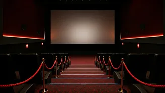 Dhurandhar's Box Office Success: A Closer Look at the Collections