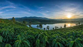 Coorg To Nainital, Hill Travel Is Peaking