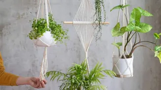 This DIY planter can add charm to any room