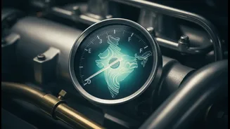 The Viral Mileage Video Makes Transparent E20 Testing More Important For Indian Drivers