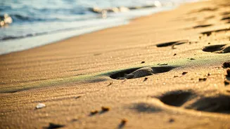 Barefoot Benefits: Walk Towards Wellness