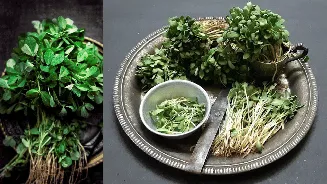 Related Stories banner