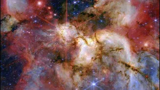 James Webb Space Telescope reveals W51 baby stars through dust