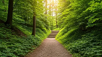 Unveiling the 6-6-6 Walk: Your Gentle Fitness Journey