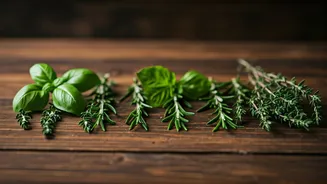 Virgo's Tomorrow: Insights & Opportunities Await!