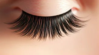 Why Softer Lashes Are Trending In 2026