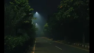 How to Drive Safely in Winter Fog Conditions in India