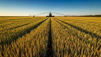 India's Agricultural Subsidies: Reform and Rationalization