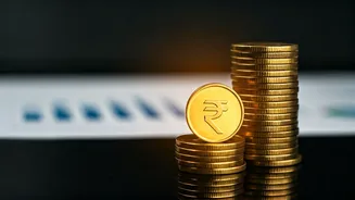 Decoding Top Large Cap Funds in India