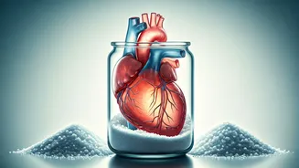 Related Stories banner