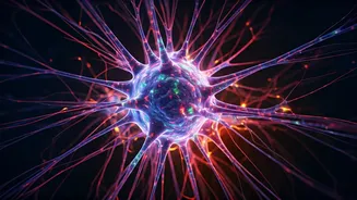 Decoding the Wonders of Science: Facts & Mysteries Unveiled!
