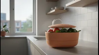 Why modernised terracotta pots provide sustainable cooling storage solutions for tiny city kitchens