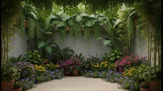 Monsoon Terrace Plants Can Add Shade, Freshness And Better Outdoor Comfort
