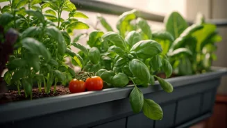 Small Balconies Can Still Feed Your Kitchen