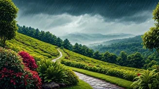 Rainy Travel Looks More Colourful In Saputara