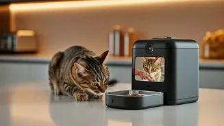 Working Pet Parents Swear By Camera Integrated Smart Pet Feeders