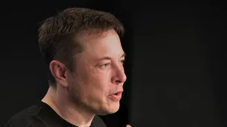 Musk Believes AI Development Is Too Global to Stop