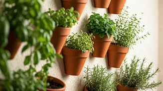 Grow Fresh Herbs Using Sleek Vertical Terracotta Wall Pots