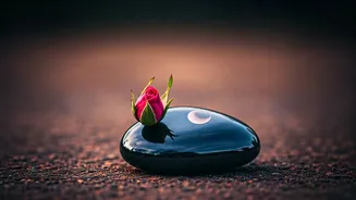 Taurus May 2026: Embrace Clarity in Love, Rebuild Your Foundations