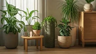 Home Harmony: Vastu Dosh Remedies for Positive Living