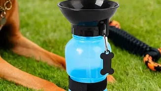 Water Bowls Should Stay Away from Litter and Busy Walkways