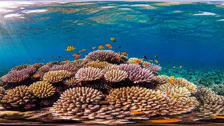 Belize Beckons: 8 Amazing Adventures Await