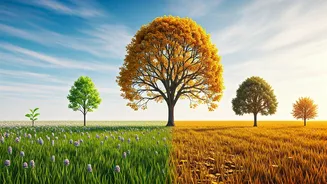 Why Everyone's Matching Life To Seasons