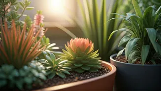 Urban Indians Are Growing Native Plants Like Never Before