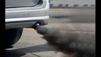 Brasileiros estão envelhecendo e isso torna os carros elétricos ainda mais importantes, diz estudo