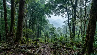 Kerala's Nature At Risk: Inside The Comprehensive Ecosystem Assessment By Indian Scientists