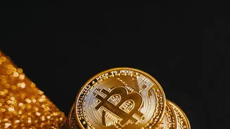 How Young Investors Build Pure Gold Reserves Without Paying Locker Fees
