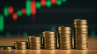 7 Things to Grasp Before Starting a SIP Investment