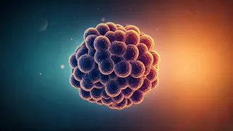 Your Gut: The Unsung Hero of Immunity, Especially for Busy Urban Indians